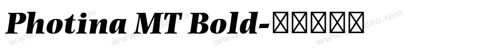 Photina MT Bold字体转换